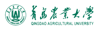 澳门网赌十大品牌网址