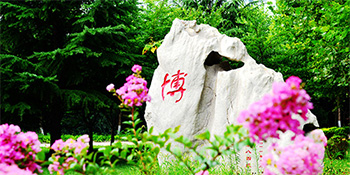 大学章程配套文件