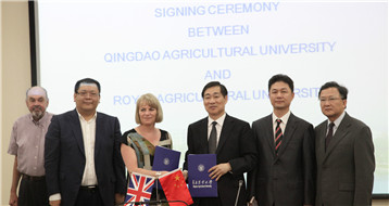 中外合作办学
